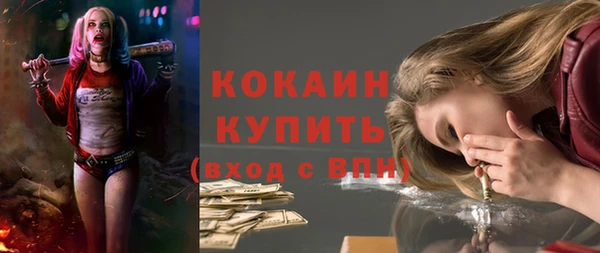 прущая мука Вяземский