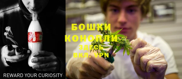 прущая мука Вяземский