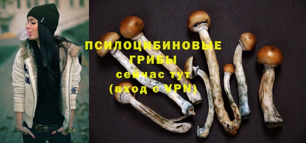 мескалин Горно-Алтайск
